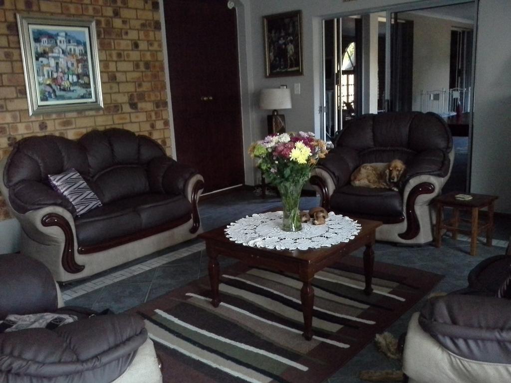 De Zevende Hemel Guesthouse سيكوندا المظهر الخارجي الصورة